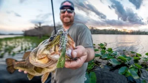 [VIDEO] Mixed Cover Swim Jig Strategies With John Cox