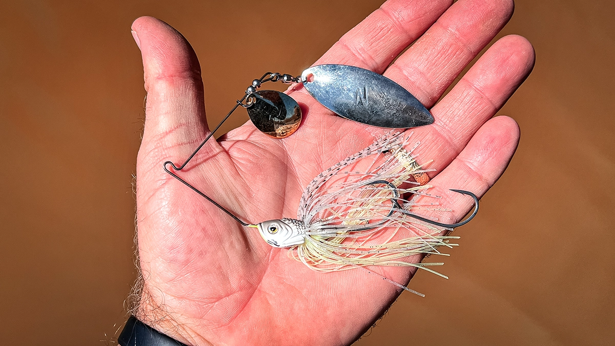 tandem colorado willow spinnerbait for moderate stained water