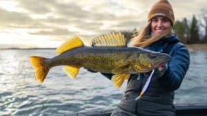 [VIDEO] Minnow Plug Tactics for Trophy Spring Walleye