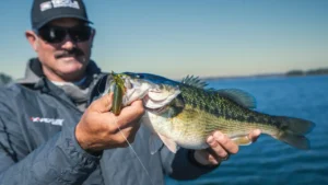 [VIDEO] Targeting Prespawn Bass | Top Ned Rig Techniques