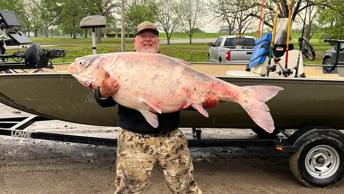 record bighead carp