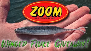 Zoom Winged Fluke Bait Giveaway!