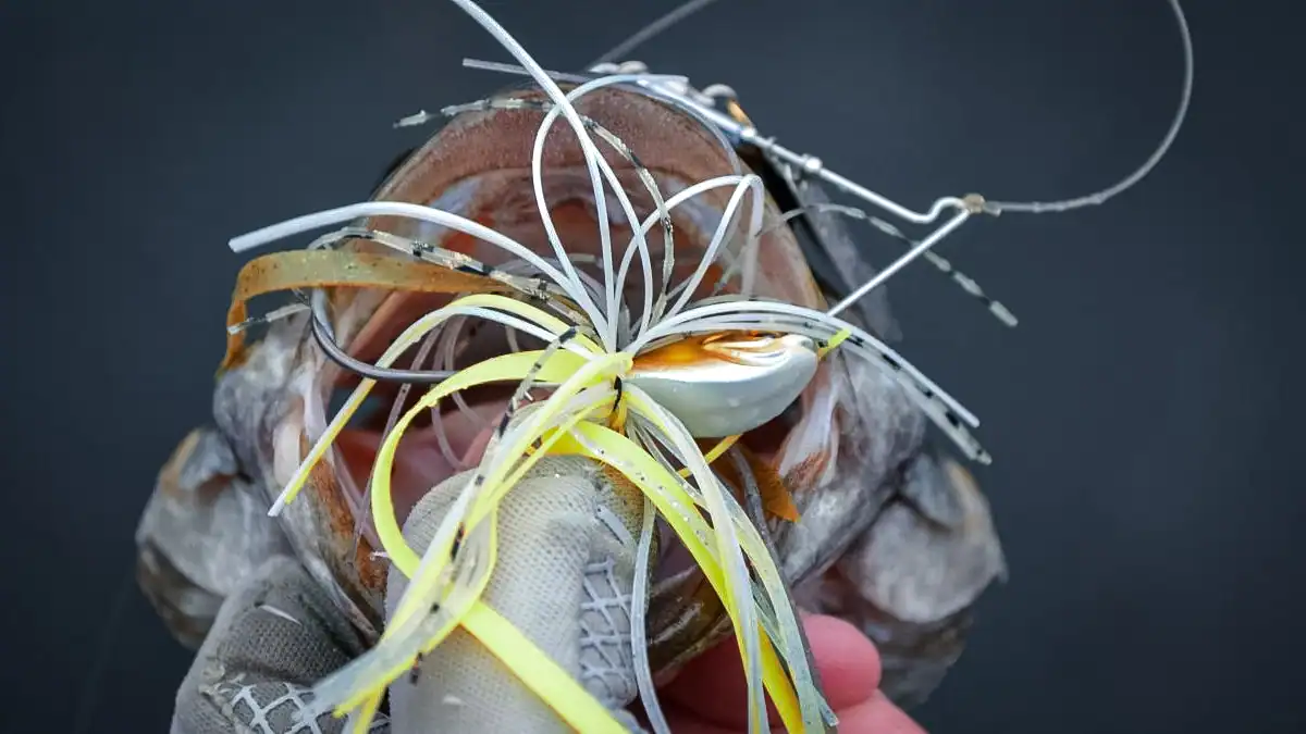 finesse bait in bass's mouth