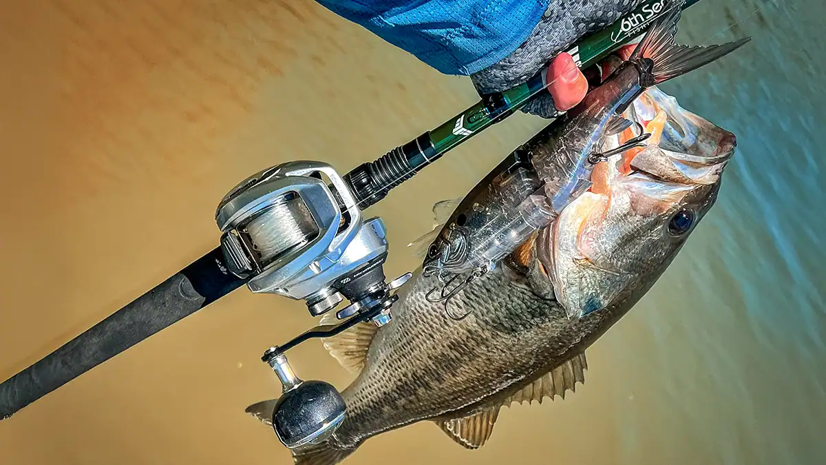 Shimano Tranx 300 B Baitcast Reel with bass