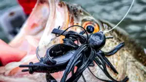 Jig Fishing for Bass: Basic and Advanced Techniques