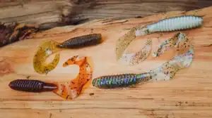 Reintroduce Yourself to Curly Tail Grubs