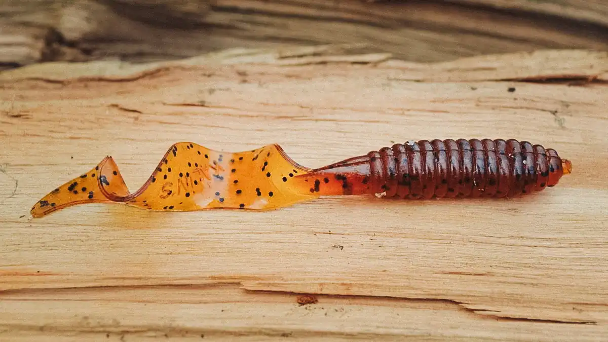 a curly tail grub on a wood table