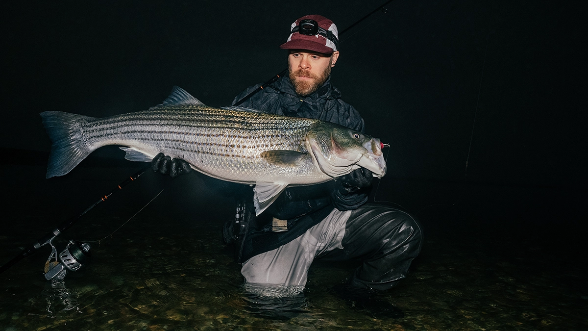 a man with a large striper caught surf fishing