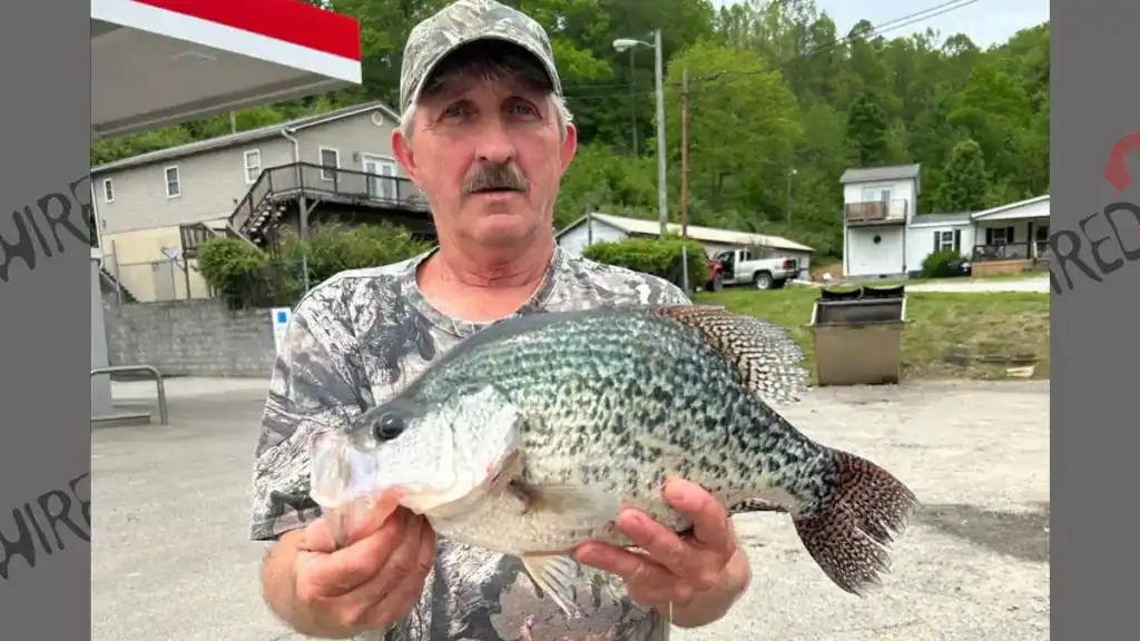 West Virginia Record Black Crappie