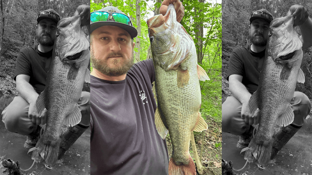 West Virginia Largemouth Bass Record