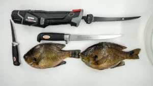 [VIDEO] Filleting Bluegill Made Easy: Tips and Tricks