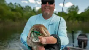 [VIDEO] Lawyer’s Tips for Topwater Fishing Post-Spawn Bass