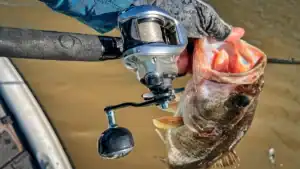 Shimano Tranx 300 B Baitcasting Reel Review