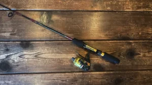 The Best Spincast Reels