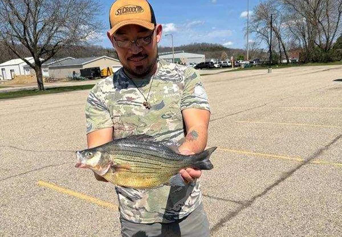 Vairin Meesouk with his pending wisconsin record yellow bass