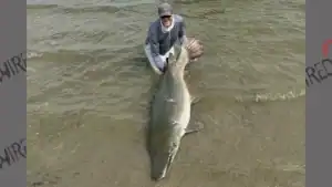 Chasing Dinosaurs: Record Alligator Gar Catches