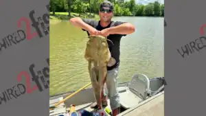 Cheatham Lake Flathead Catfish Record Shattered With 55-Pounder Caught And Released