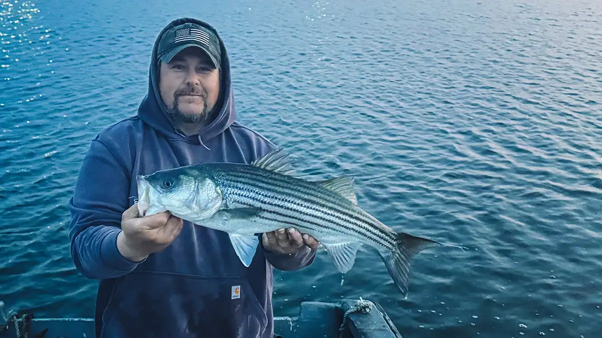 angler on a boat holding a striper