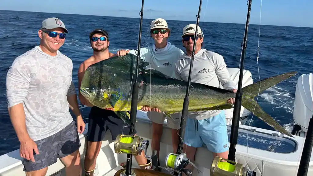 Georgia record dolphin