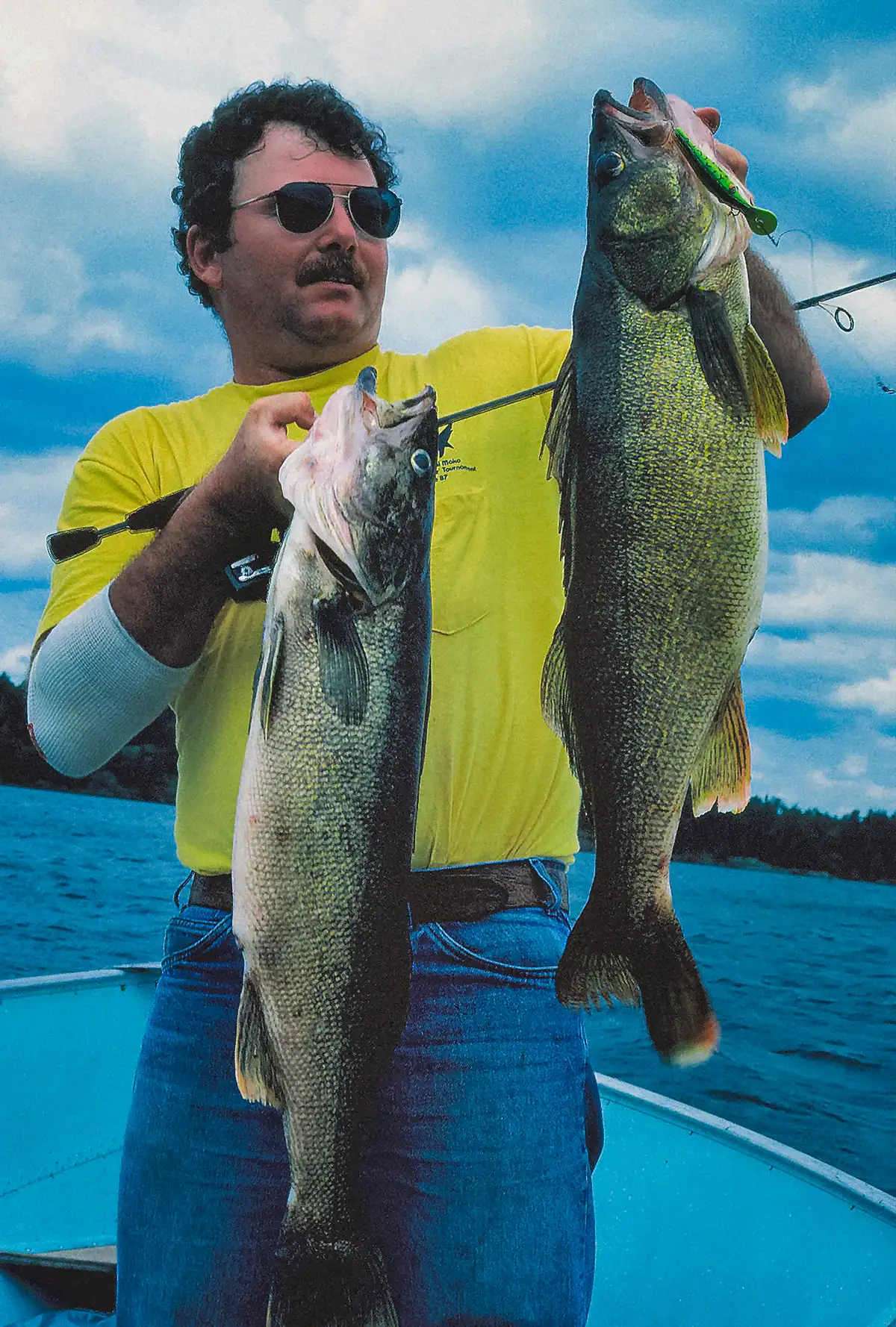 angler holding two big lake erie walleye