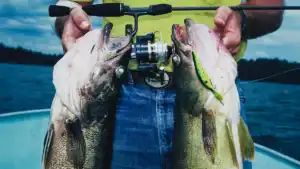 The Good Ol’ Days of Lake Erie Walleye Fishing Are Now!