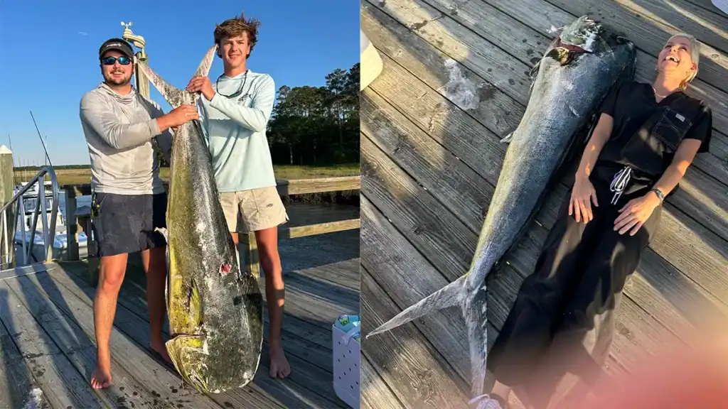 Georgia record dolphin