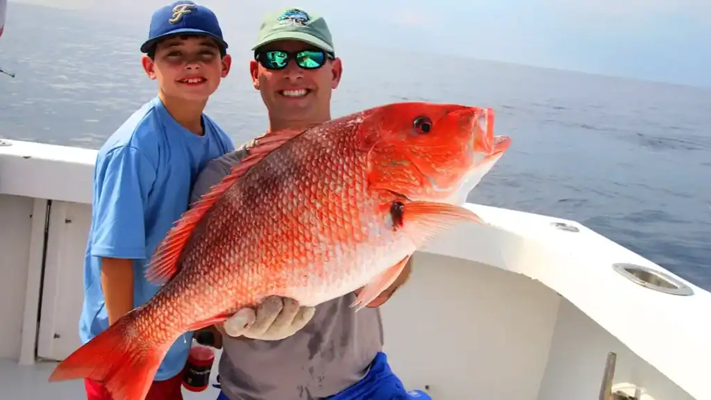 Red Snapper