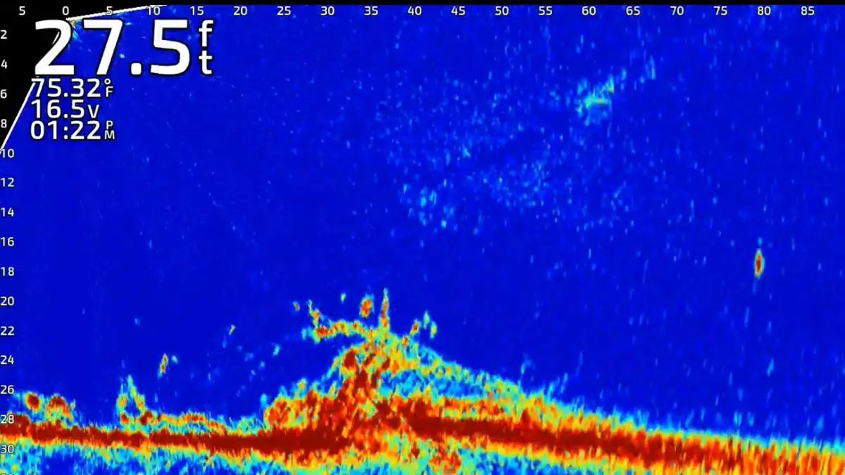 livescope screenshot