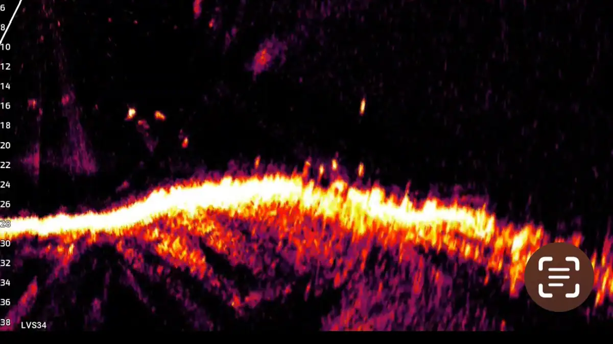 livescope screenshot