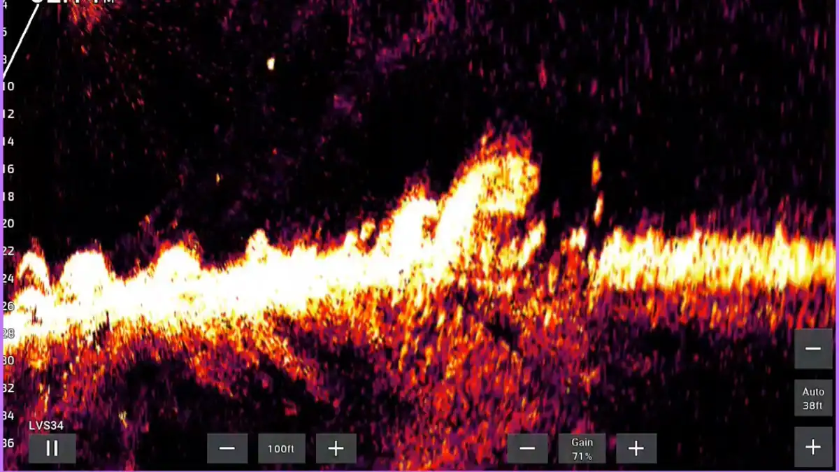 livescope screenshot