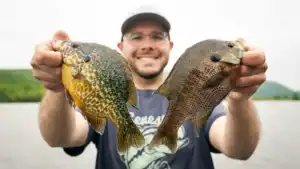 Chasing Bruiser Bluegills: Top Tips and Tactics for Catching Bulls