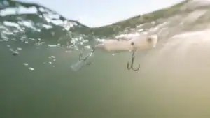 [VIDEO] Retro Chug Bug Bassin’ with Gerald Swindle