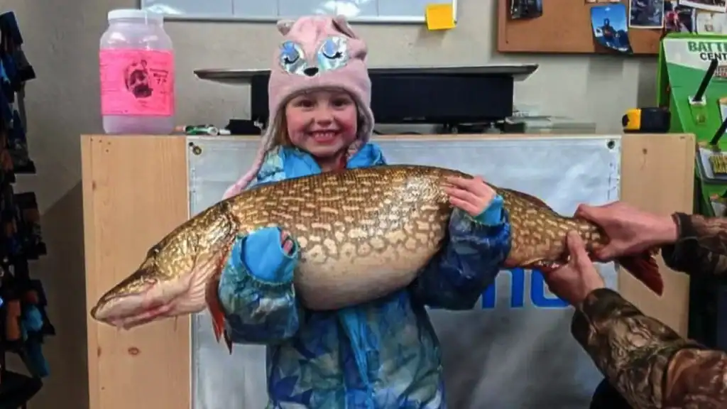 Womens smallfry world record northern pike IGFA