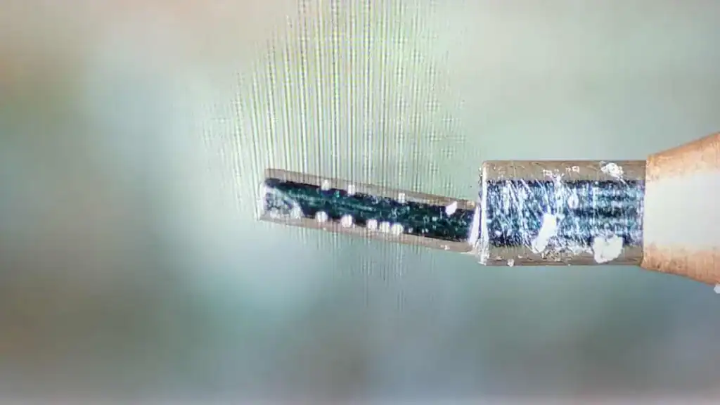 lake trout coded marker