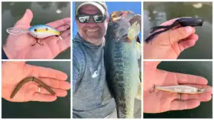 What Baits We’re Throwing in June