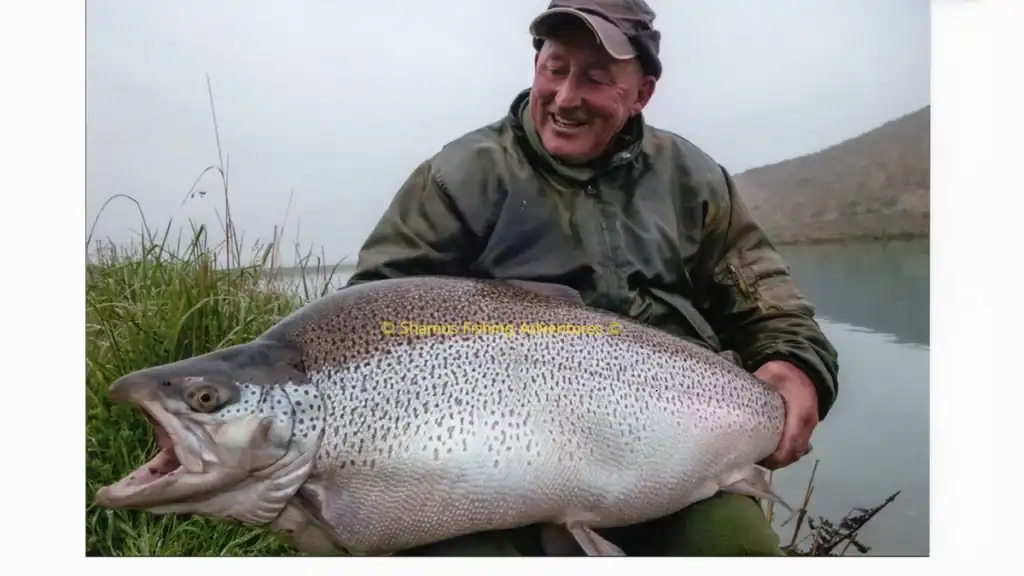 World Record All Tackle Brown Trout IGFA