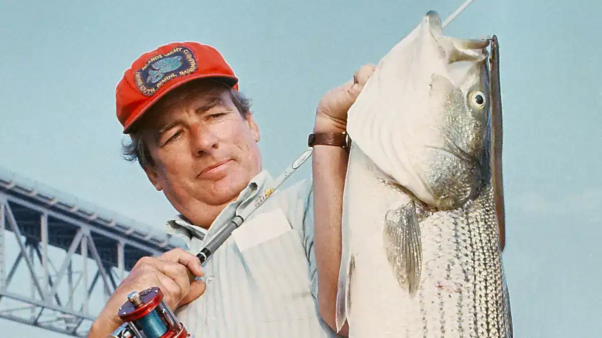 Chesapeake Bay Striper