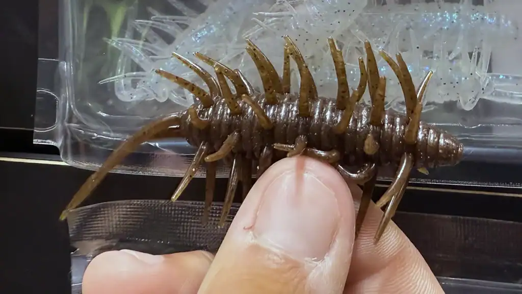 Coike Shrimp Medium lure