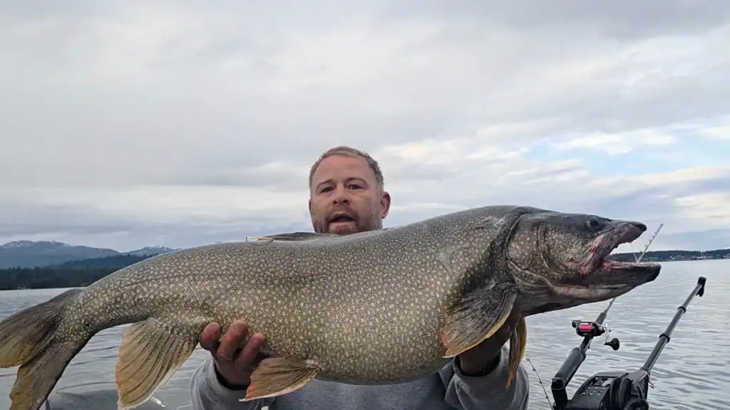 Idaho Catch-And-Release Lake Trout Record