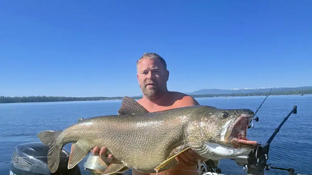 Idaho Lake Trout Record