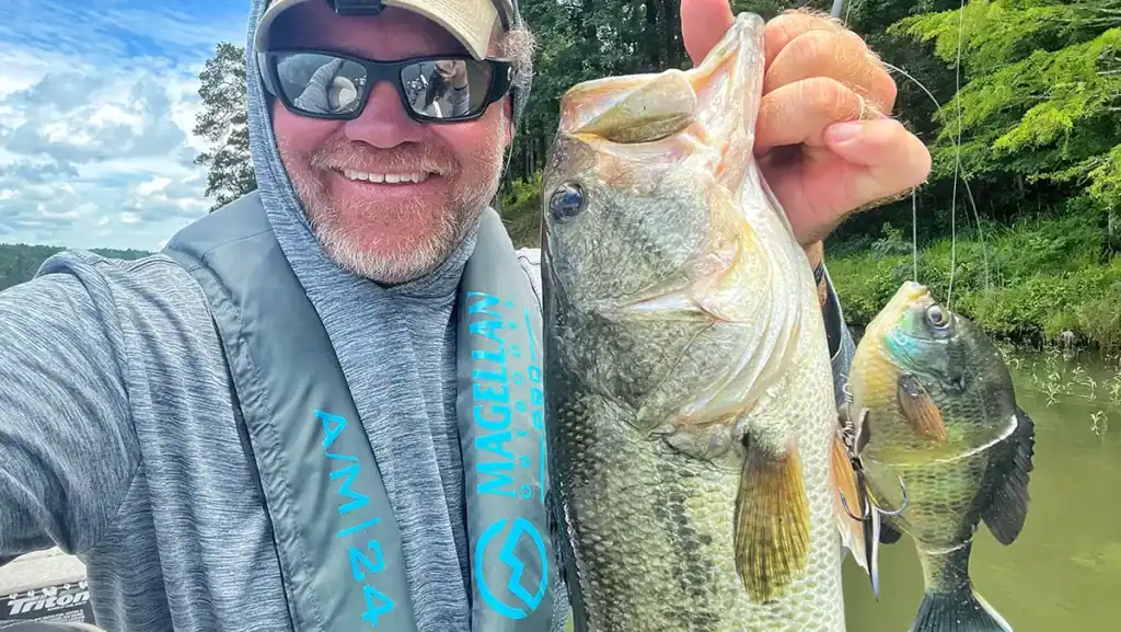 bass on bluegill swimbait