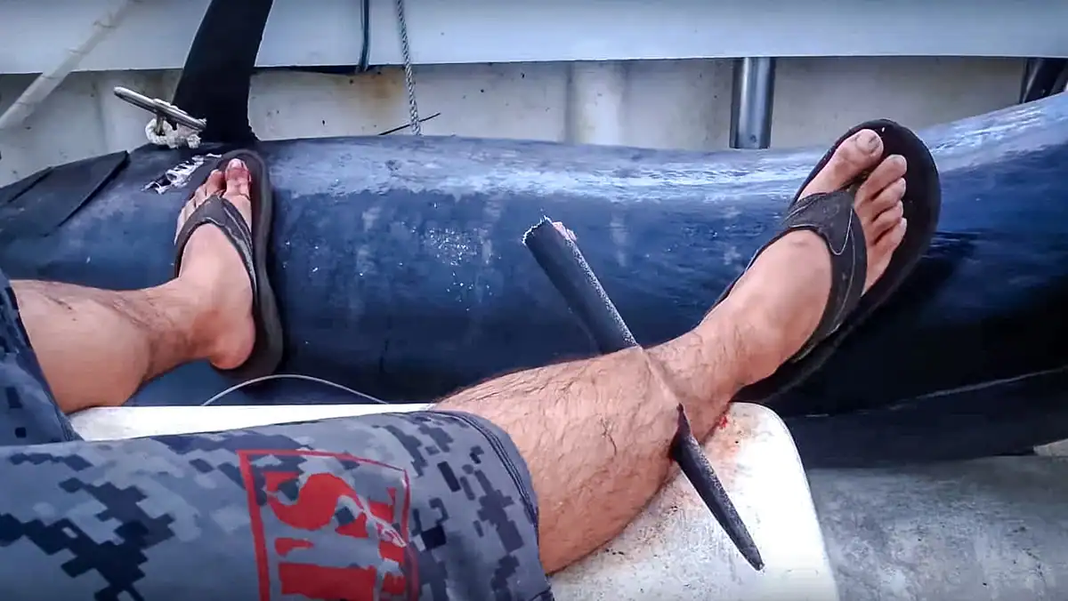 a marlin spike through a man's shin