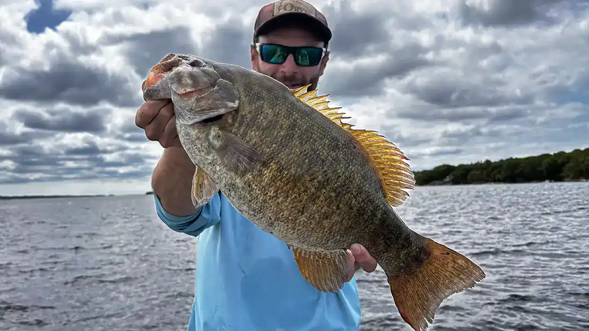 chunky summer smallmouth bass