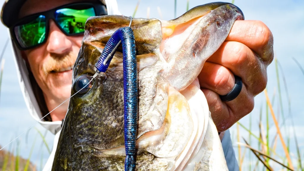 Z-Man Bang StickZ catches Florida bass