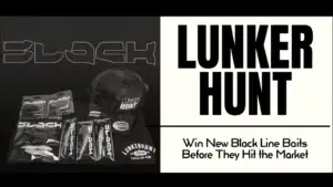 Lunkerhunt Black Line Baits Winner!