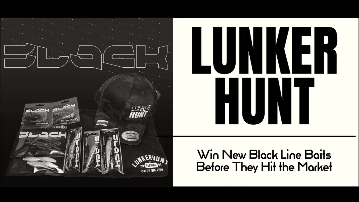 Lunkerhunt Black Line Baits