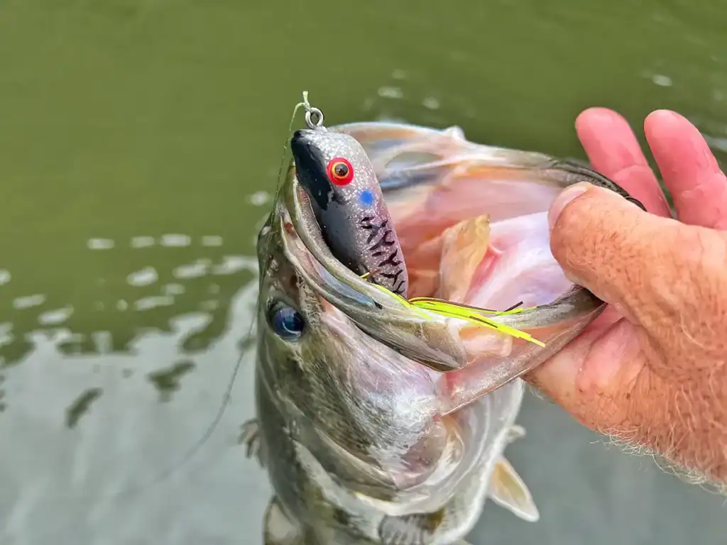 topwaters create memorable moments