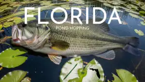 Why a Swimming Worm is the Best Lure for Florida Ponds
