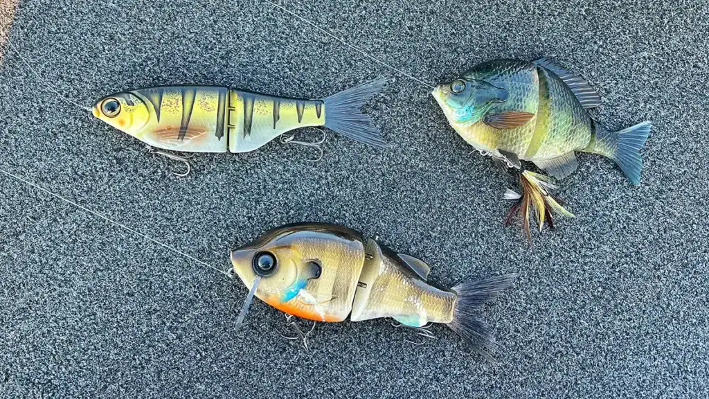 swimbaits