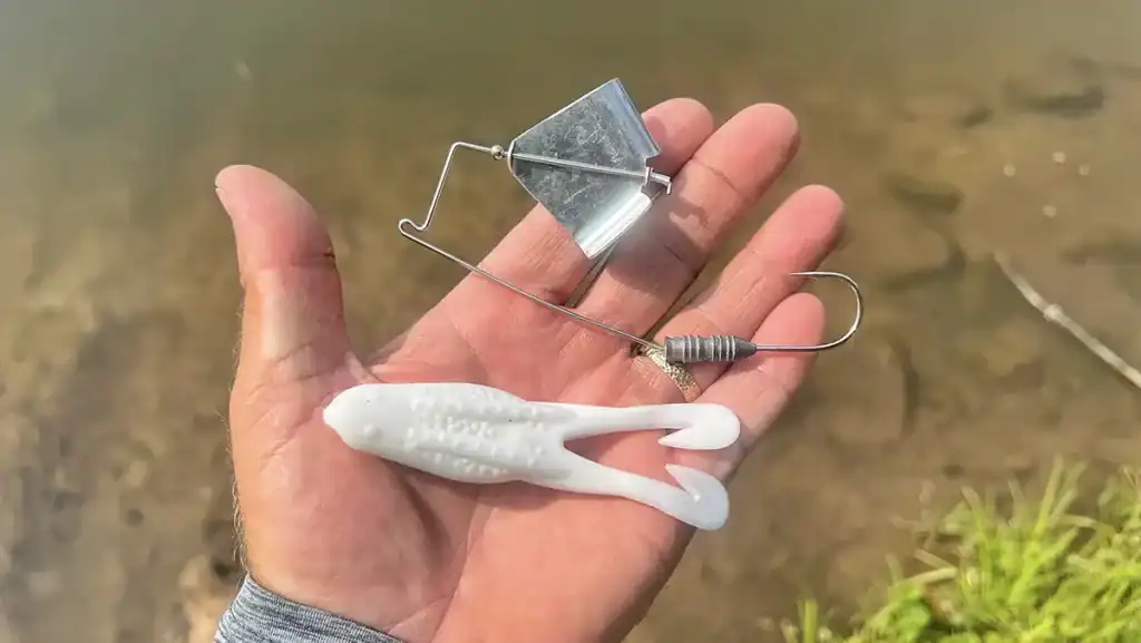 topwaters are versatile options